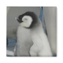 Penguin Chick magnets by trish1968 Penguin Chick magnets