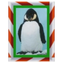 penguin christmas flyers by pinkypetals penguin christmas flyers