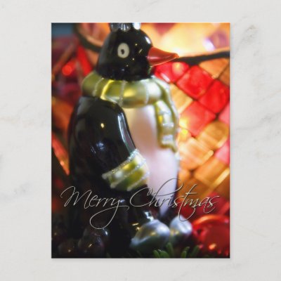Penguin • Christmas Postcard