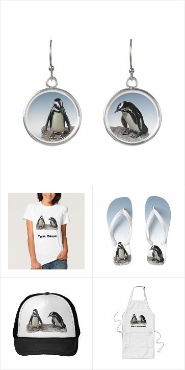 Penguin Clothing and Accessories