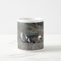 Penguin Family in Chilean Penguin Rookery mugs