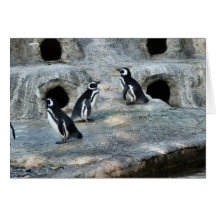 Penguin Flock Greeting Card