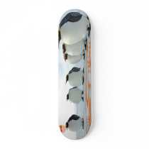 Penguin Fun In The Sun Skateboard Decks