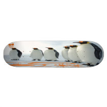 Penguin Fun In The Sun skateboards