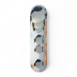 Penguin Fun In The Sun Skateboard Decks