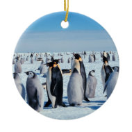 Penguin Gathering Ornament