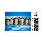Penguin Group Stamp Penguin Group Stamp