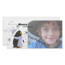 Penguin in Awe photo cards by candystore Penguin in Awe photo cards