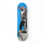 Penguin In Harewood Park Custom Skateboard
