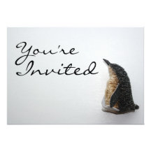 Penguin Invitation