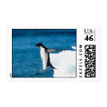 Penguin Jumping Stamp