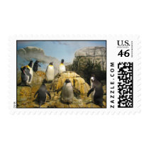 Penguin Meeting postage
