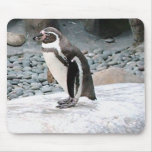 penguin mousepad