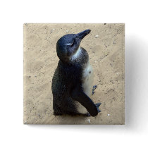 Penguin on sand buttons