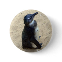 Penguin on sand buttons