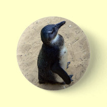 Penguin on sand buttons