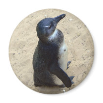Penguin on sand magnets