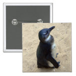 Penguin on sand pin