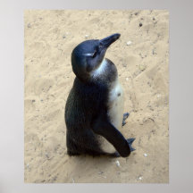 Penguin on sand print