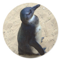 Penguin on sand stickers by Yarijik Penguin on sand stickers