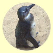 Penguin on sand stickers
