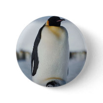 Penguin Parent & Chick Pins