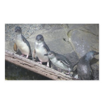 Penguin Perch Sticker