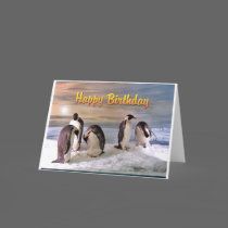 Penguin Photo Happy Birthday Card by ironydesign Penguin Photo Happy Birthday Card
