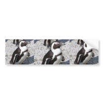 Penguin Portrait bumper stickers