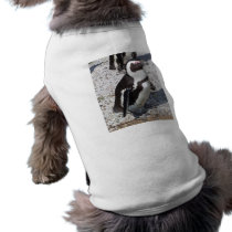 Penguin Portrait pet clothing