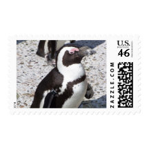 Penguin Portrait Postage Stamp
