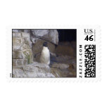 Penguin postage