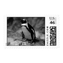 Penguin Postage Stamp