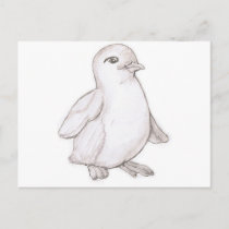 Penguin postcards
