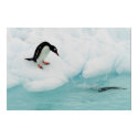 Penguin Poster posters by hsonkin Penguin Poster posters