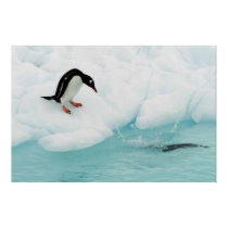 Penguin Poster posters by hsonkin Penguin Poster posters