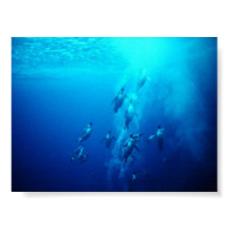 penguin posters