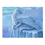 Penguin Protector Postcard
