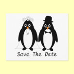 Penguin Save The Date Wedding Announcement Postcards