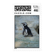 Penguin stamps