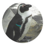 Penguin Sticker