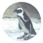 Penguin Sticker Penguin Sticker