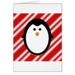 Penguin stripes cards
