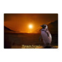 PENGUIN SUNSET Art Poster posters