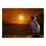 PENGUIN SUNSET CARDS