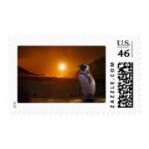 PENGUIN SUNSET POSTAGE