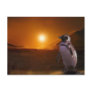 PENGUIN SUNSET POST CARDS