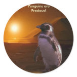 PENGUIN SUNSET STICKERS