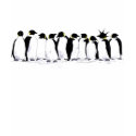 penguin theory t-shirts by shadowkick penguin theory t-shirts