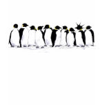 penguin theory